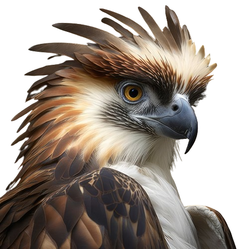 Eagle Head